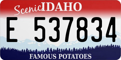 ID license plate E537834