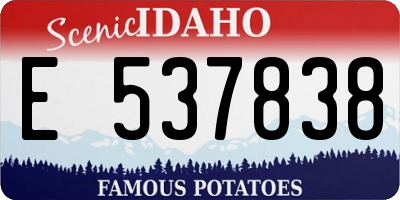 ID license plate E537838