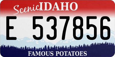 ID license plate E537856