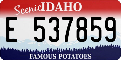 ID license plate E537859