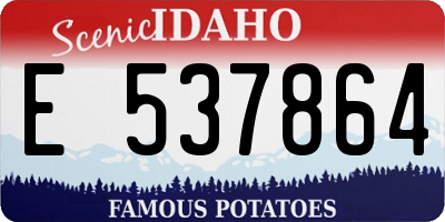 ID license plate E537864