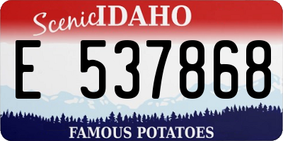 ID license plate E537868