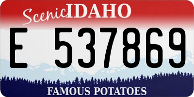 ID license plate E537869