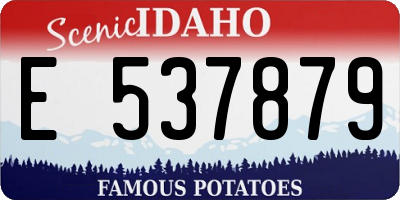 ID license plate E537879
