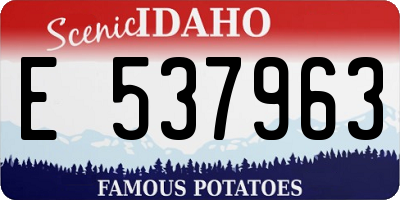 ID license plate E537963