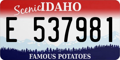 ID license plate E537981