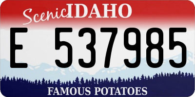 ID license plate E537985