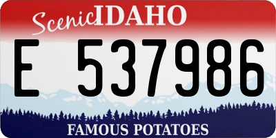 ID license plate E537986