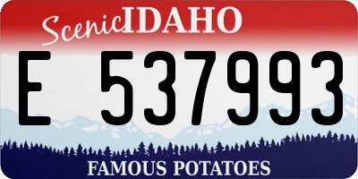 ID license plate E537993