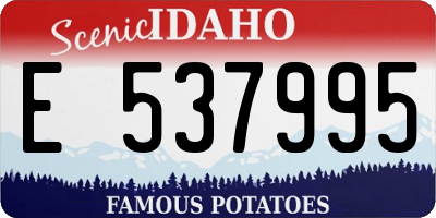 ID license plate E537995