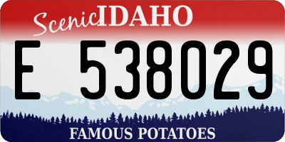 ID license plate E538029