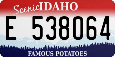 ID license plate E538064