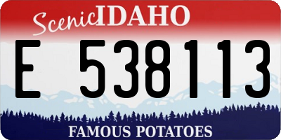ID license plate E538113