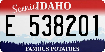 ID license plate E538201