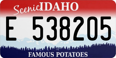 ID license plate E538205