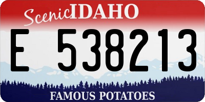 ID license plate E538213
