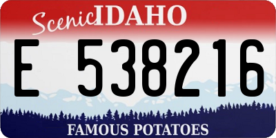ID license plate E538216