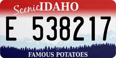 ID license plate E538217