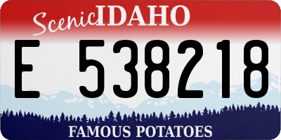 ID license plate E538218