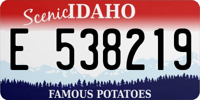 ID license plate E538219