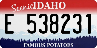 ID license plate E538231