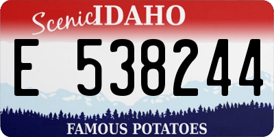 ID license plate E538244