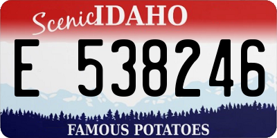 ID license plate E538246