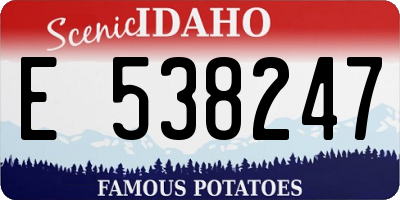 ID license plate E538247