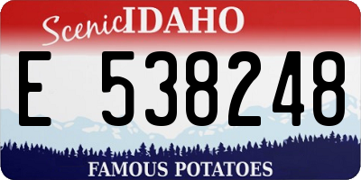 ID license plate E538248