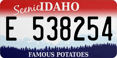 ID license plate E538254