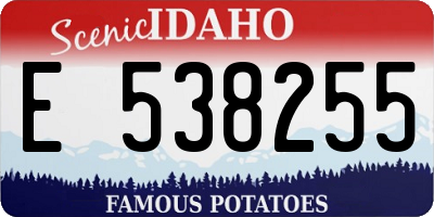 ID license plate E538255