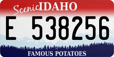 ID license plate E538256