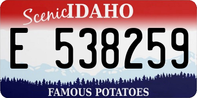 ID license plate E538259