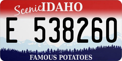 ID license plate E538260