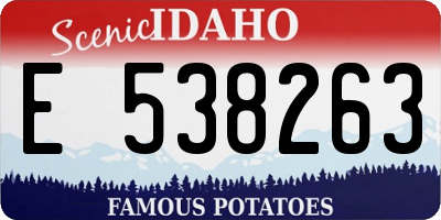 ID license plate E538263