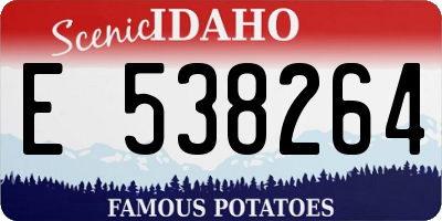 ID license plate E538264