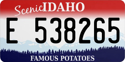 ID license plate E538265