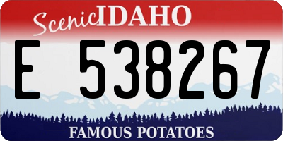 ID license plate E538267