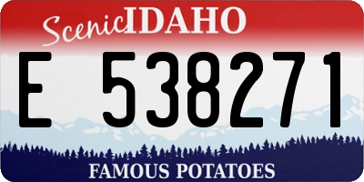 ID license plate E538271
