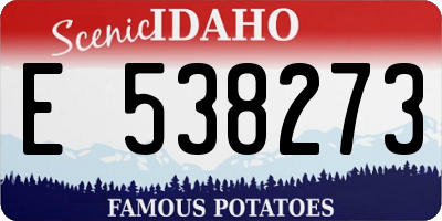 ID license plate E538273
