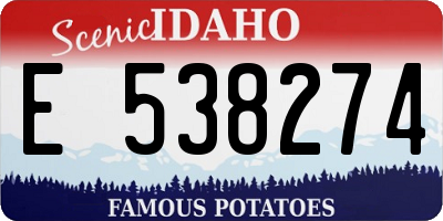 ID license plate E538274
