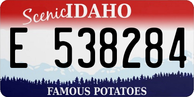 ID license plate E538284