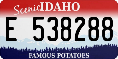 ID license plate E538288