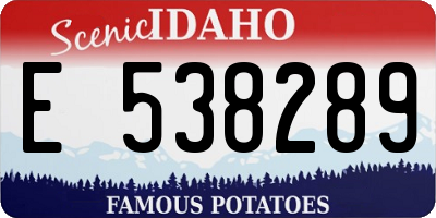 ID license plate E538289