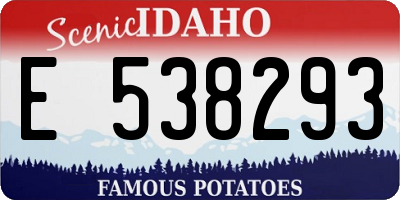 ID license plate E538293