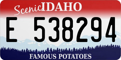 ID license plate E538294