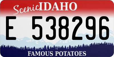 ID license plate E538296