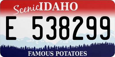 ID license plate E538299