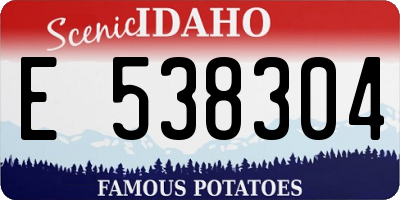 ID license plate E538304