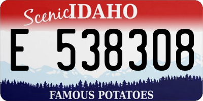 ID license plate E538308
